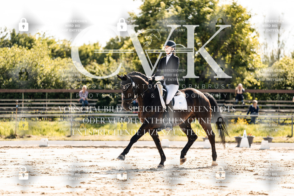 CK909243 | Turnierfotografie Pferdefotografie Trier Rheinland-Pfalz Pferdesport Reitsport Tierfotografie Sportfotografie Pferdevideo Pferdevideografie Equestrianvideography equestrianphotography  - Realisiert mit Pictrs.com