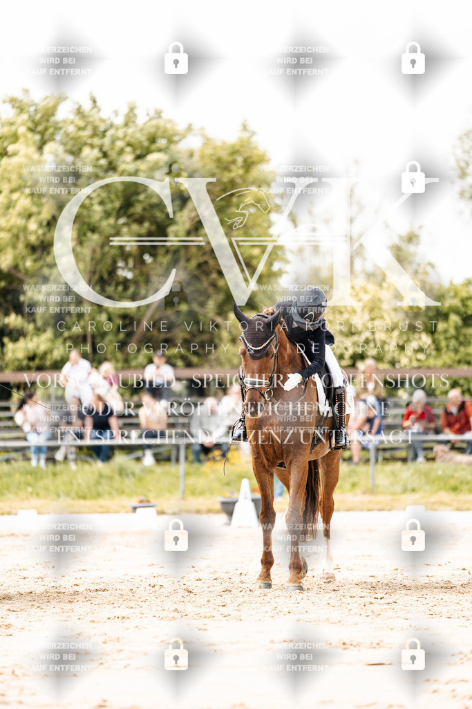 CK902177 | Turnierfotografie Pferdefotografie Trier Rheinland-Pfalz Pferdesport Reitsport Tierfotografie Sportfotografie Pferdevideo Pferdevideografie Equestrianvideography equestrianphotography  - Realisiert mit Pictrs.com