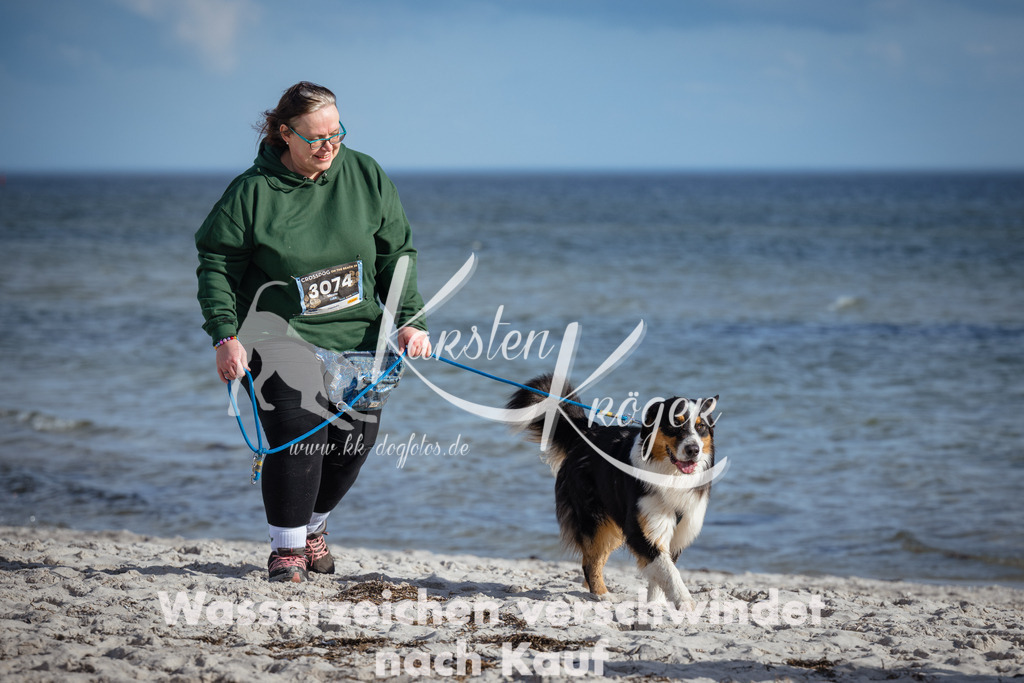 1353_ZZ94325 | kk-dogfotos