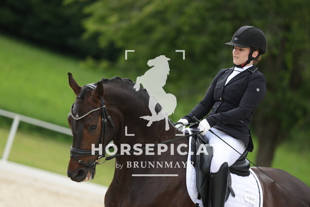 0P6A6066 | Willkommen bei Brunnmayr - Design & Fotografie – Ihrem Spezialisten für Reitturniere und Pferdeveranstaltungen in Oberösterreich, Salzburg und Bayern! Seit über 17 Jahren sind wir leidenschaftlich dabei.