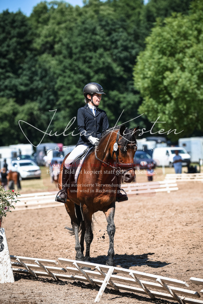 DSC_2860 | Pferde- und Turnierfotografie in Westsachsen. Pferdeportraits, Auftragszeichnungen und intuitive Kunst.