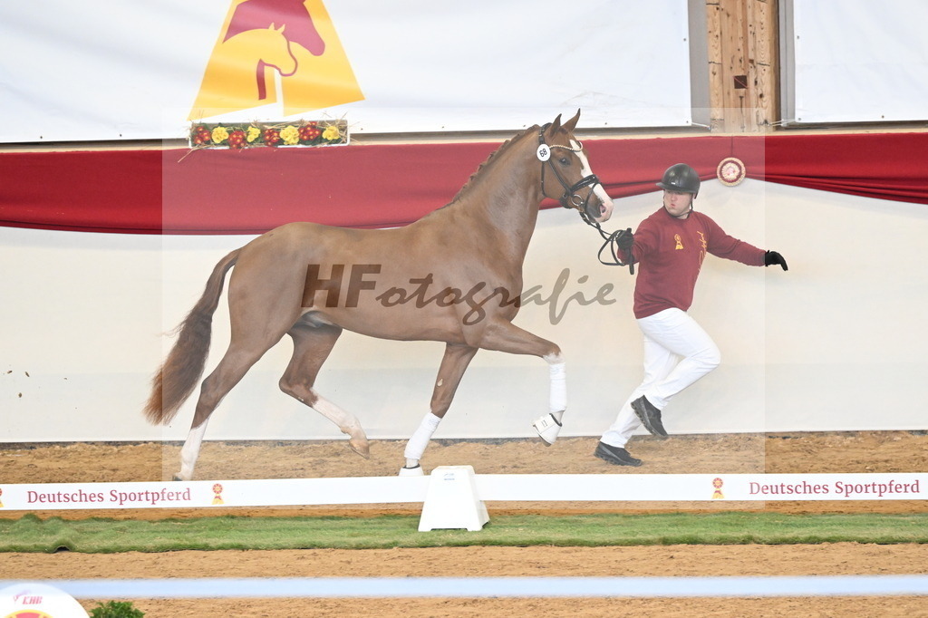 Kat.-Nr. 68 v. Juwel_Westhoff _ Rothenberger_3260808 | hf-fotografie - Realisiert mit Pictrs.com