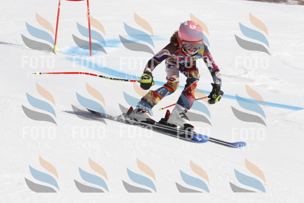 _U3G9298 | holidayphoto