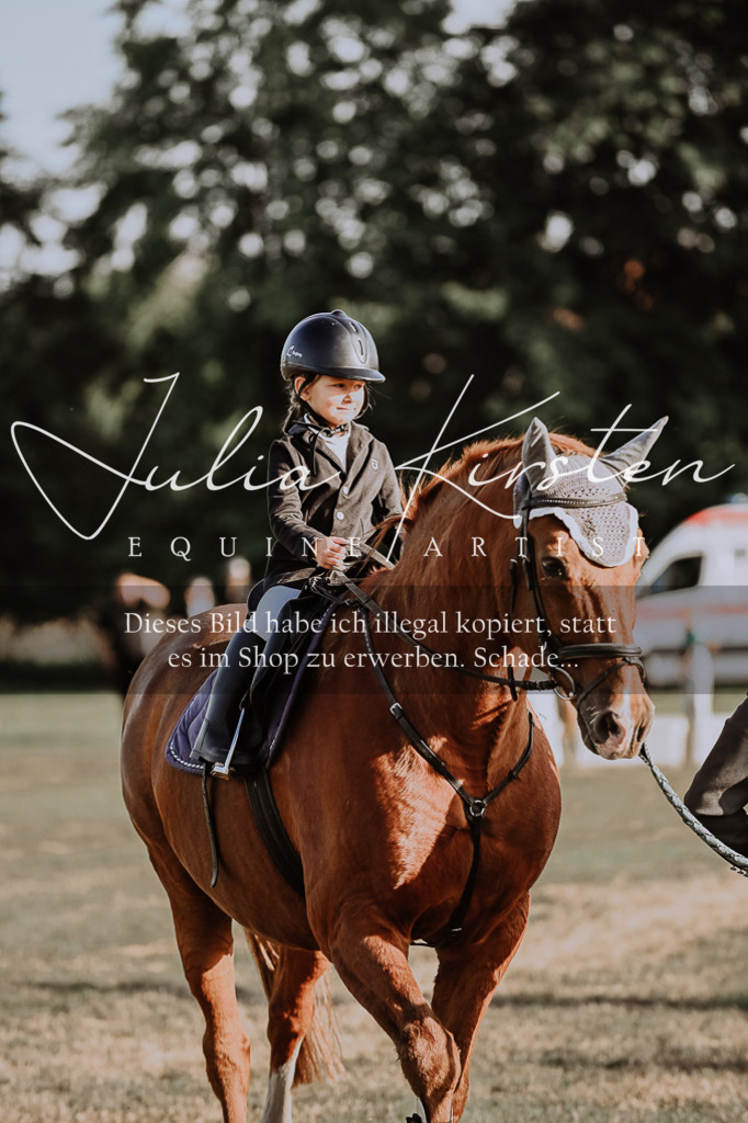DSC_0172 | Pferde- und Turnierfotografie in Westsachsen. Pferdeportraits, Auftragszeichnungen und intuitive Kunst.