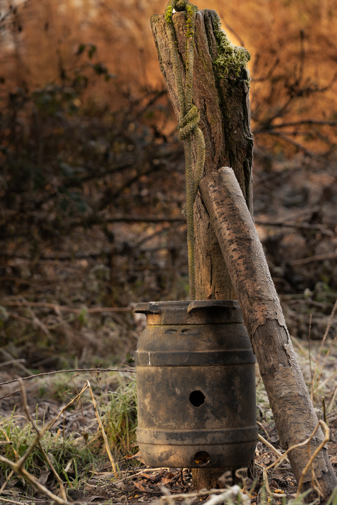 DSCF2390-9 | Tier- & Landschaftsfotografie und Porträtshootings. Entdecke einzigartige Fotokunst als Wandbild, Tasse oder Mauspad – mit Leidenschaft fotografiert - Realisiert mit Pictrs.com