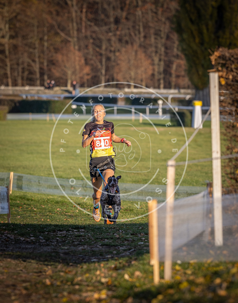 CaniXpix_DV3A3591 | Hundefotografie, Tierfotograf, Pfotenfotografie, Fotoshooting Hund, Hunde Portrait, Hundesport, Hundeportraits, Heideshooting, Hunde, Sportfotograf, Hundefotograf, Turnierhundsport, THS,  - Realisiert mit Pictrs.com
