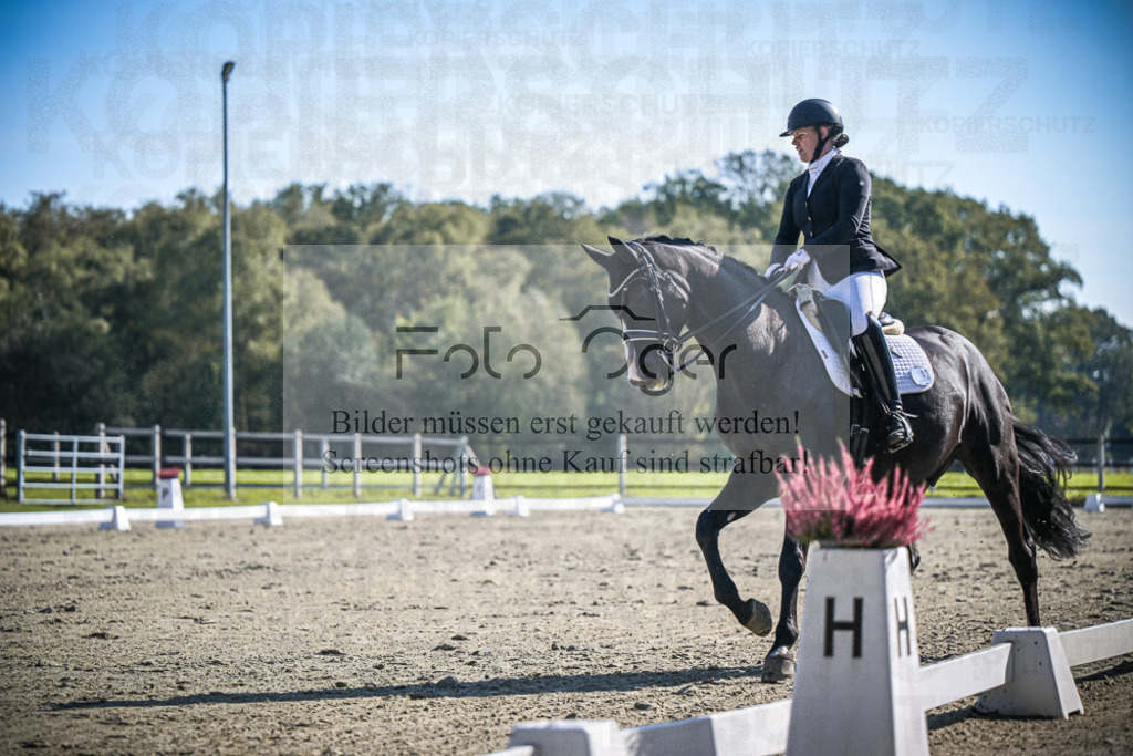 DOS_1952 | Entdecke hochwertige Reitturnierfotos von Foto Oger. Professionell, emotional und authentisch – jetzt Lieblingsmomente im Shop bestellen.Deutschlandweite Turnierfotografie. - Realisiert mit Pictrs.com