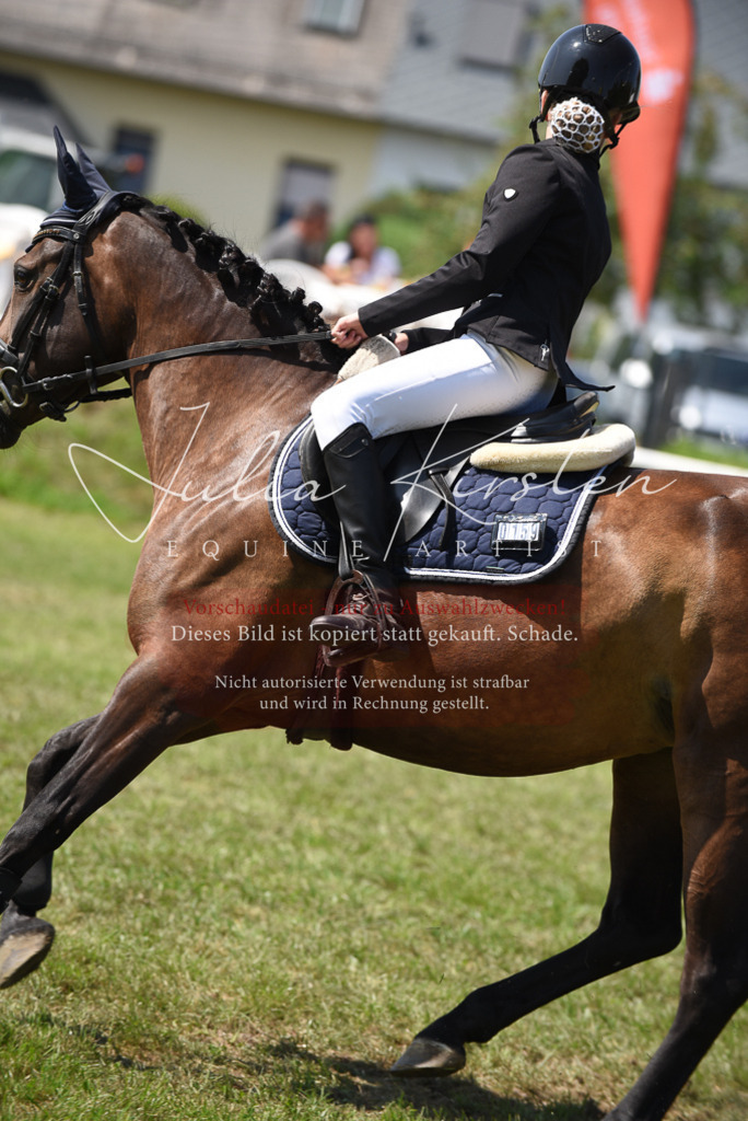 DSC_9927 | Pferde- und Turnierfotografie in Westsachsen. Pferdeportraits, Auftragszeichnungen und intuitive Kunst.