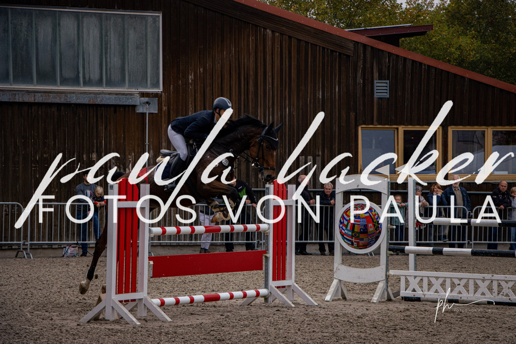 IMG_5175 | Erleben Sie dynamische Sport- und emotionale Tierfotografie in Süddeutschland mit Fotos von Paula. Spezialisiert auf Pferde- und Hundefotografie sowie Sportevents. Kontaktieren Sie mich für einzigartige und ausdrucksstarke Bilder Ihrer besonderen Momente. - Realisiert mit Pictrs.com