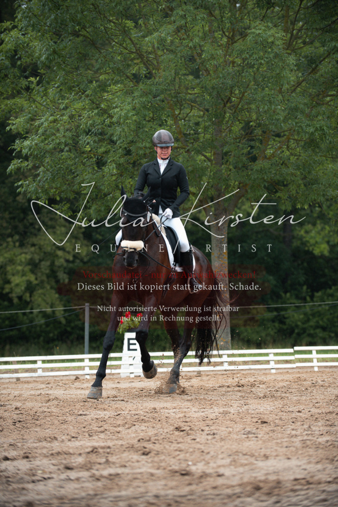 DSC_9727 | Pferde- und Turnierfotografie in Westsachsen. Pferdeportraits, Auftragszeichnungen und intuitive Kunst.