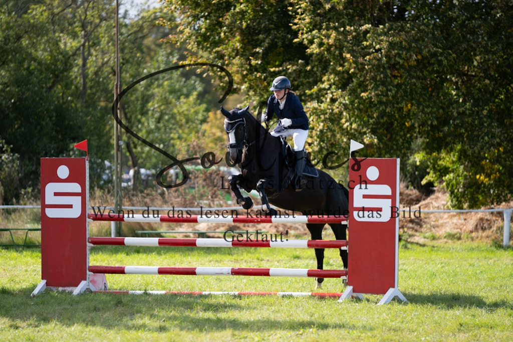 A7V07017 | Pferdefotograf