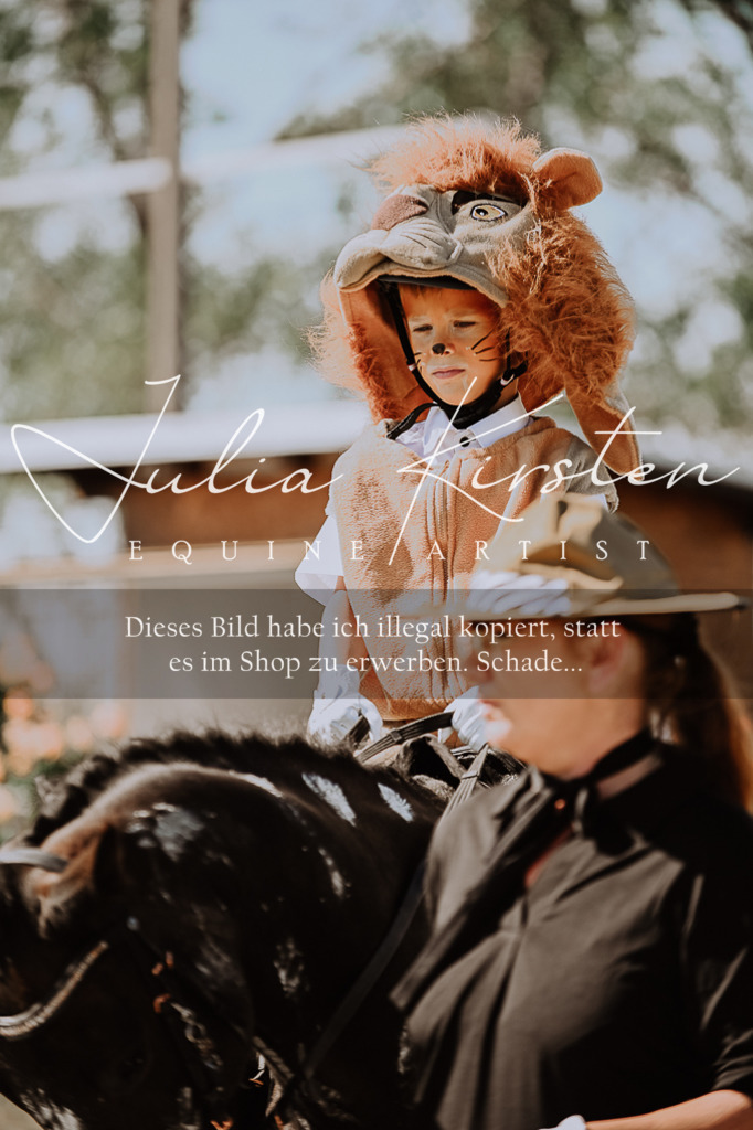 DSC_9112 | Pferde- und Turnierfotografie in Westsachsen. Pferdeportraits, Auftragszeichnungen und intuitive Kunst.