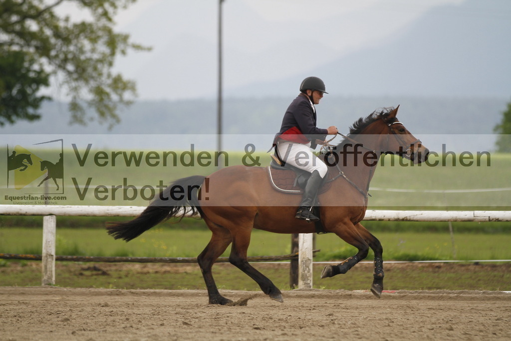 _MG_7714 | equestrian-live-com