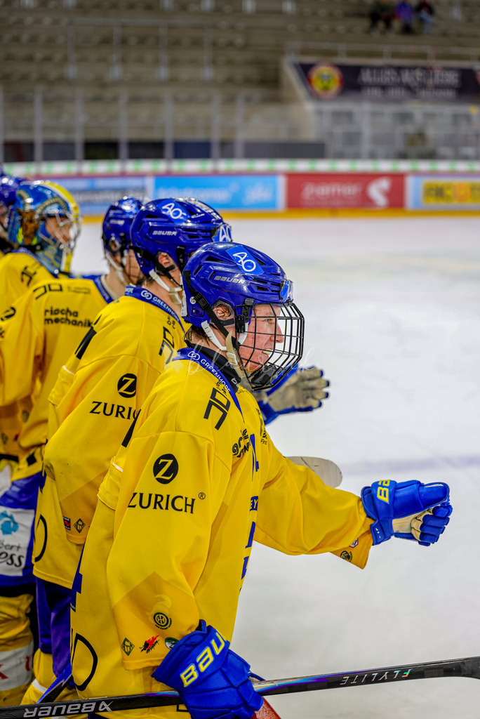 EHCB vs HCD-1366 | Sportbilder, Sportfotograf, Hochzeits- und Eventfotografin, Flugshows, Portraits und Tiershooting, Aviation, Downhill, Nationalleague, Swissleague, International
