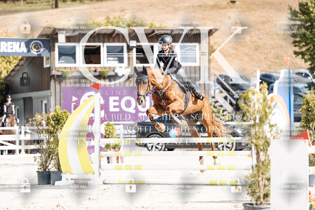 CK909021 | Turnierfotografie Pferdefotografie Trier Rheinland-Pfalz Pferdesport Reitsport Tierfotografie Sportfotografie Pferdevideo Pferdevideografie Equestrianvideography equestrianphotography  - Realisiert mit Pictrs.com