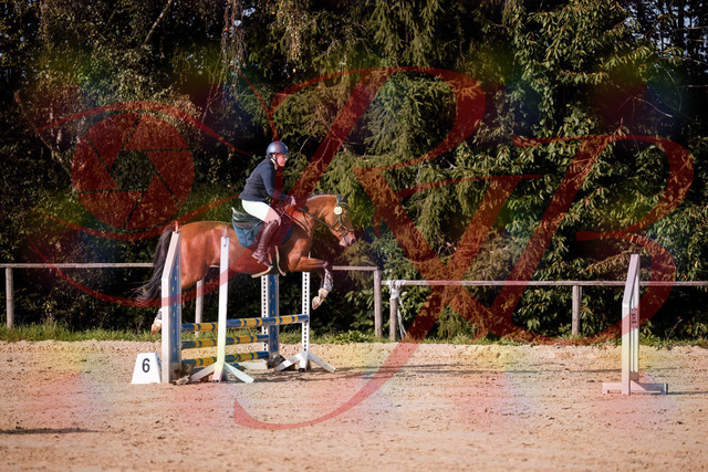 2026_10_03_Siefer-Hof_155400_Z81_73791445 | Professionelle Reitsport-, Turnier- und Eventfotografie von Robert Broda. Galerien mit ausgewählten und bearbeiteten Bildern direkt online ansehen und bestellen.
