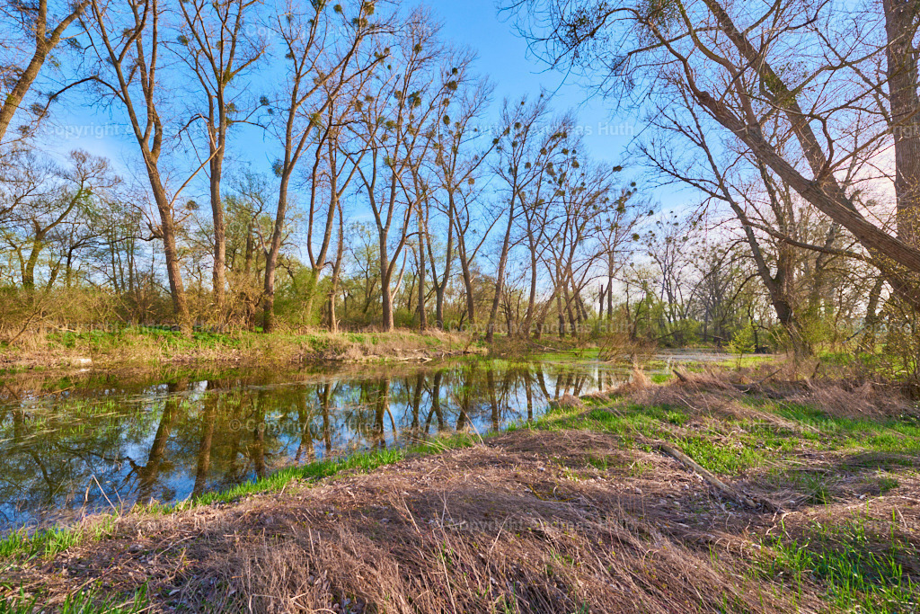 Am Altarm der Weißen Elster zwischen Bad Köstritz und Caaschwitz 04 | Bedeutsame Landschaften Deutschlands - Realisiert mit Pictrs.com
