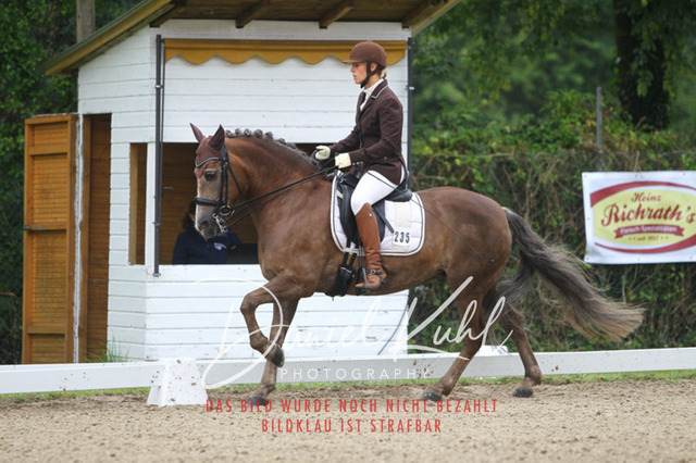 DKP40097 | Turniersportfotografie; Pferdefotografie; Dressurfotografie