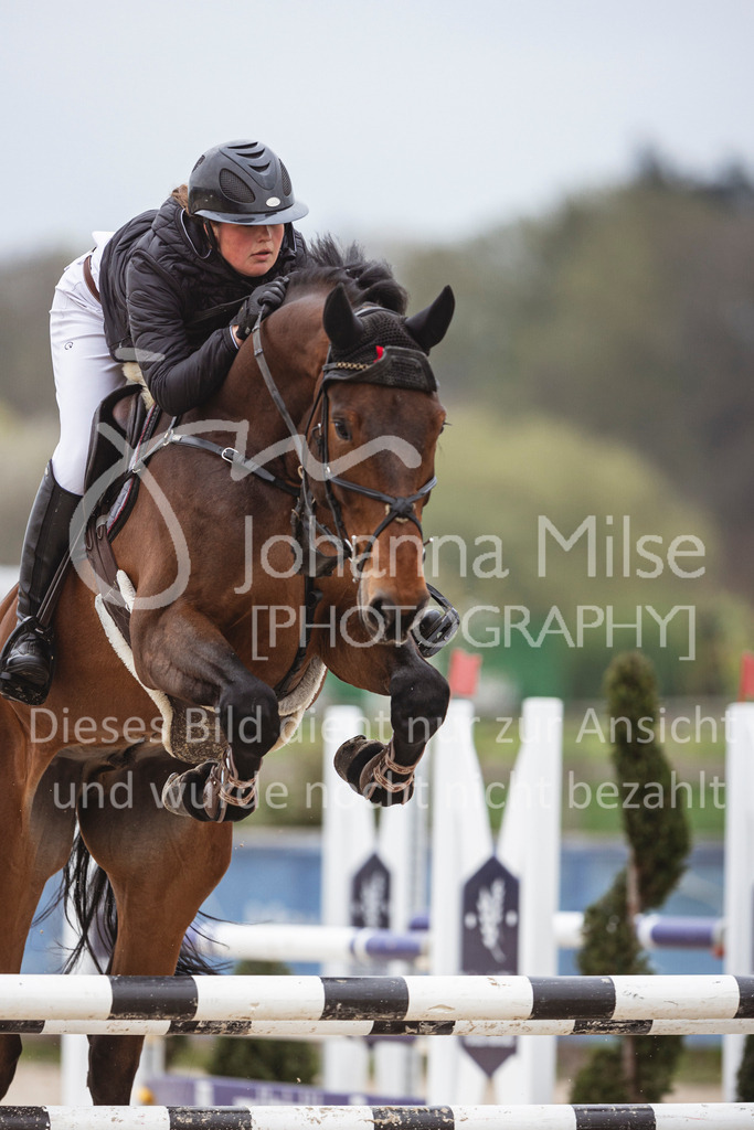 250417_Springpferde-L1-206 | Deine schönsten Turniermomente als professionelle Fotos! Entdecke hochwertige Pferdesport-Fotografie im Online-Shop. Jetzt Fotos finden & bestellen!