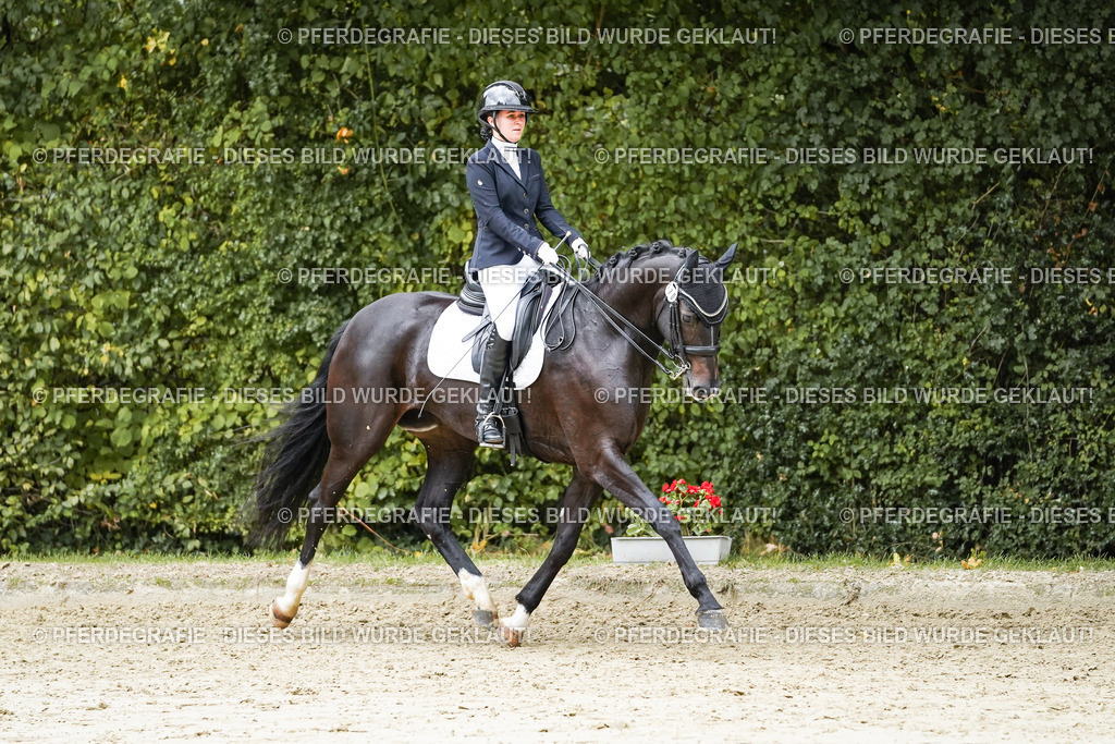 DSC07030 | Pferdegrafie