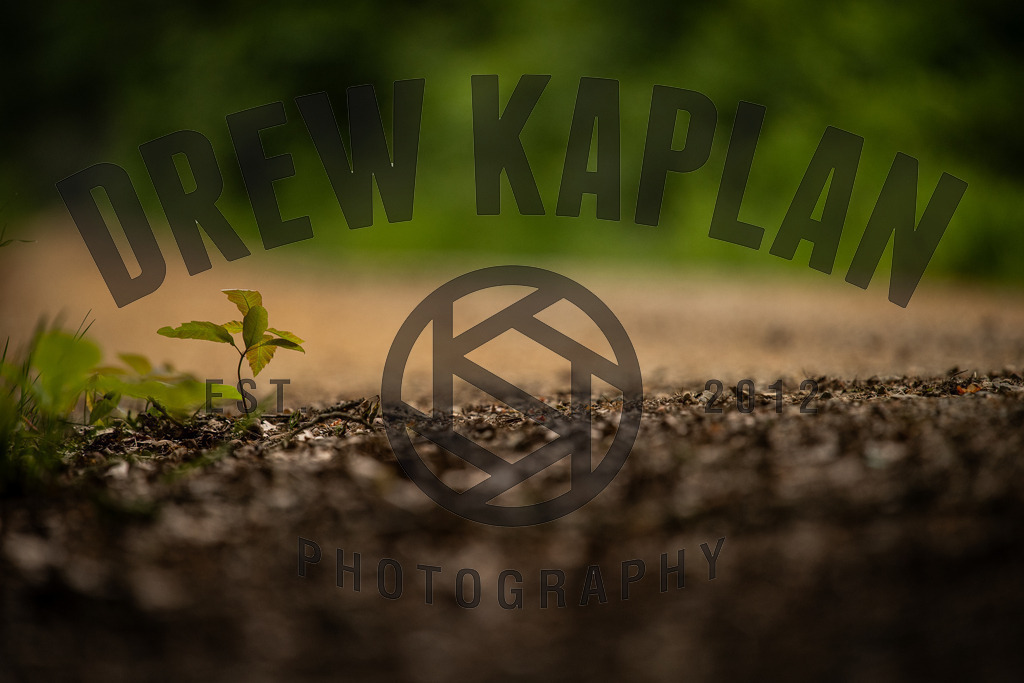 DKP-3723 | Drew Kaplan Photography
