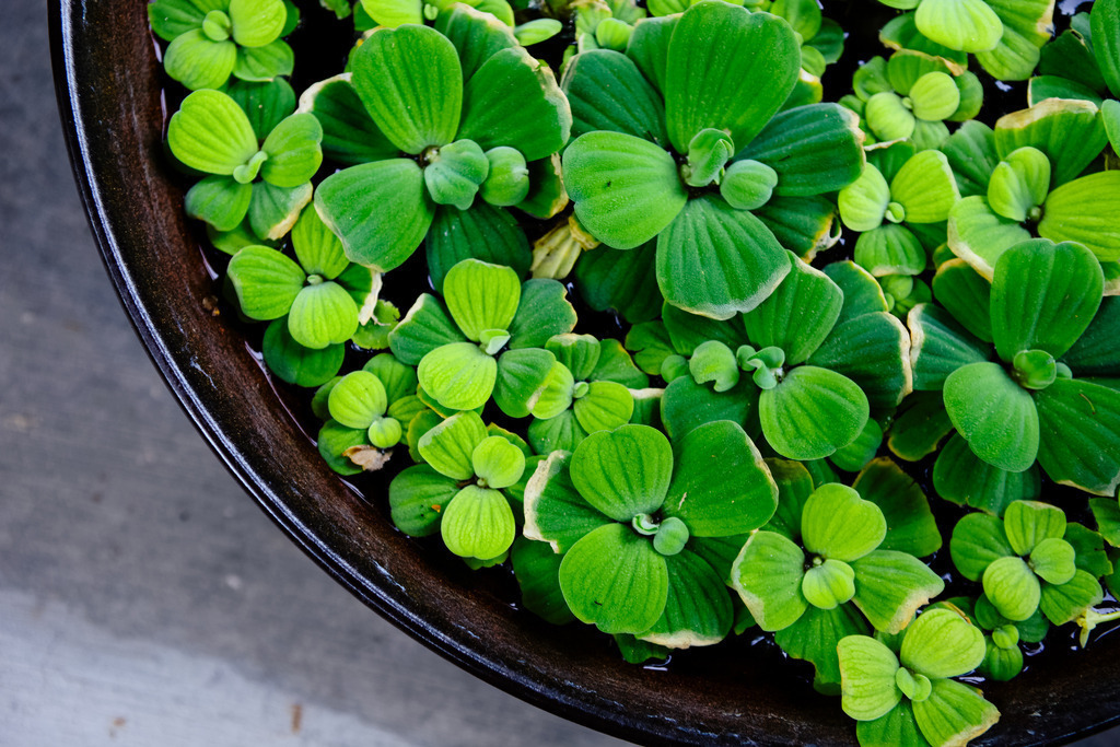 IMG_1968 | AHORN PHOTOGRAPHY - Realisiert mit Pictrs.com