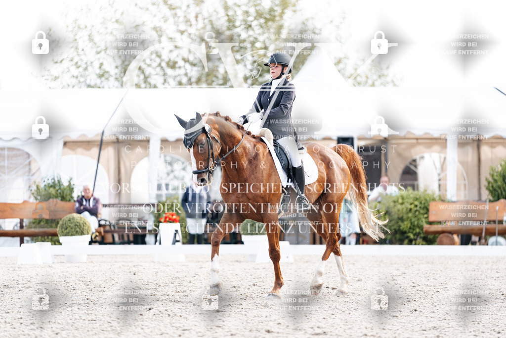 CK901340 | Turnierfotografie Pferdefotografie Trier Rheinland-Pfalz Pferdesport Reitsport Tierfotografie Sportfotografie Pferdevideo Pferdevideografie Equestrianvideography equestrianphotography  - Realisiert mit Pictrs.com