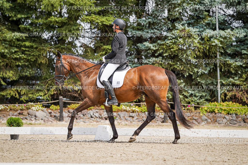 DSC01982 | Pferdegrafie