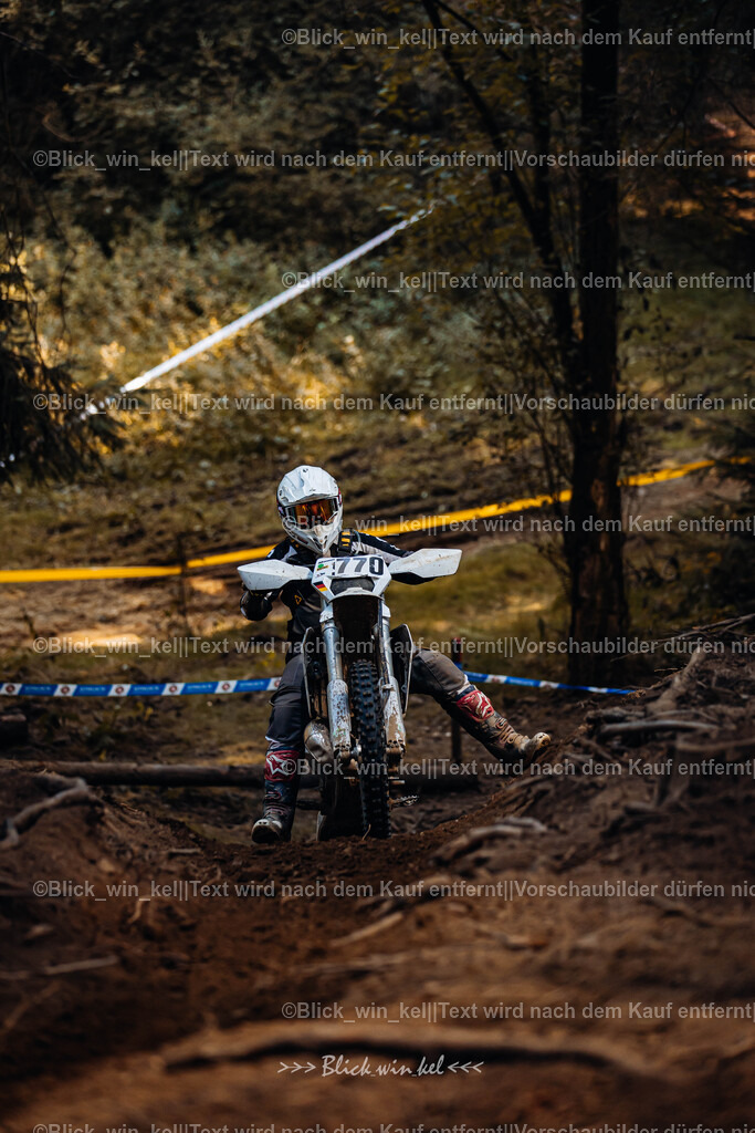 E68A7221 | blick_win_kel