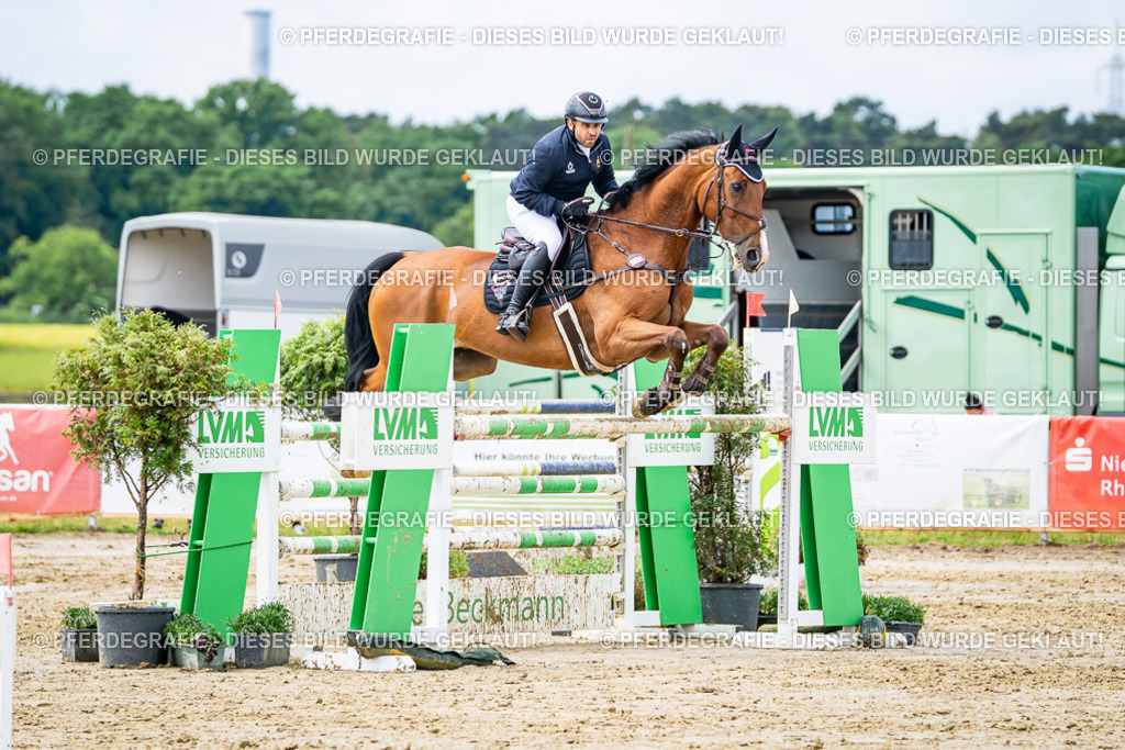 DSC03980 | Pferdegrafie