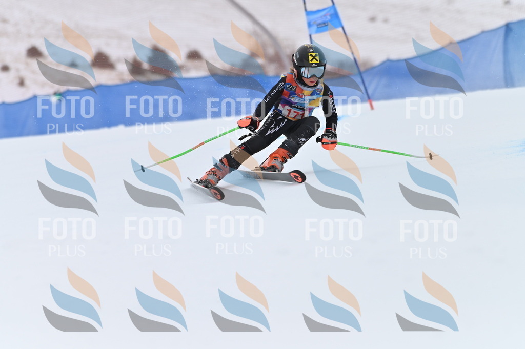 BGV_0631 | holidayphoto