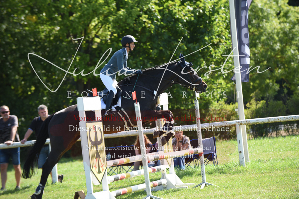 DSC_9209 | Pferde- und Turnierfotografie in Westsachsen. Pferdeportraits, Auftragszeichnungen und intuitive Kunst.