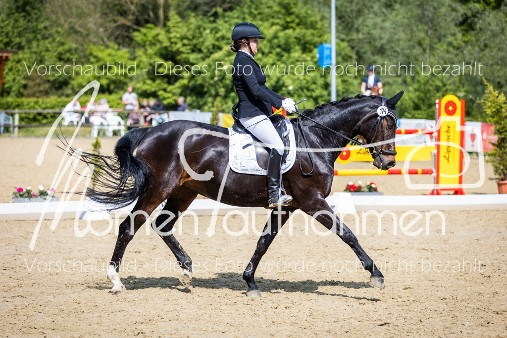 Donop24-L-Dre-032 | MomenTaufnahmen Pferdesportfotos