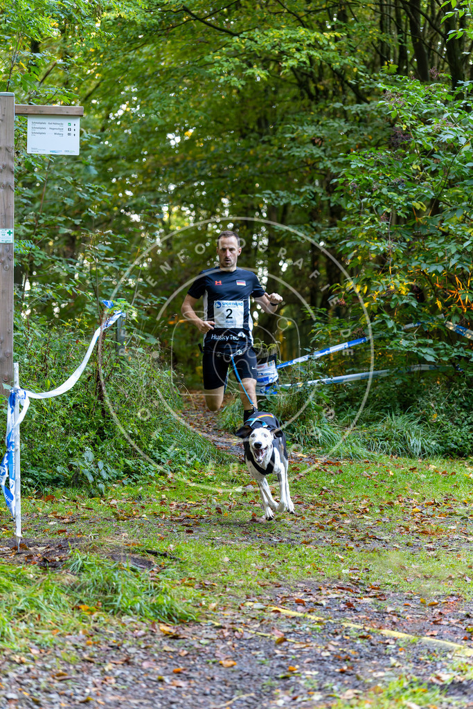 Pfotenfotografie_DV3A6164 | Hundefotografie, Tierfotograf, Pfotenfotografie, Fotoshooting Hund, Hunde Portrait, Hundesport, Hundeportraits, Heideshooting, Hunde, Sportfotograf, Hundefotograf, Turnierhundsport, THS,  - Realisiert mit Pictrs.com