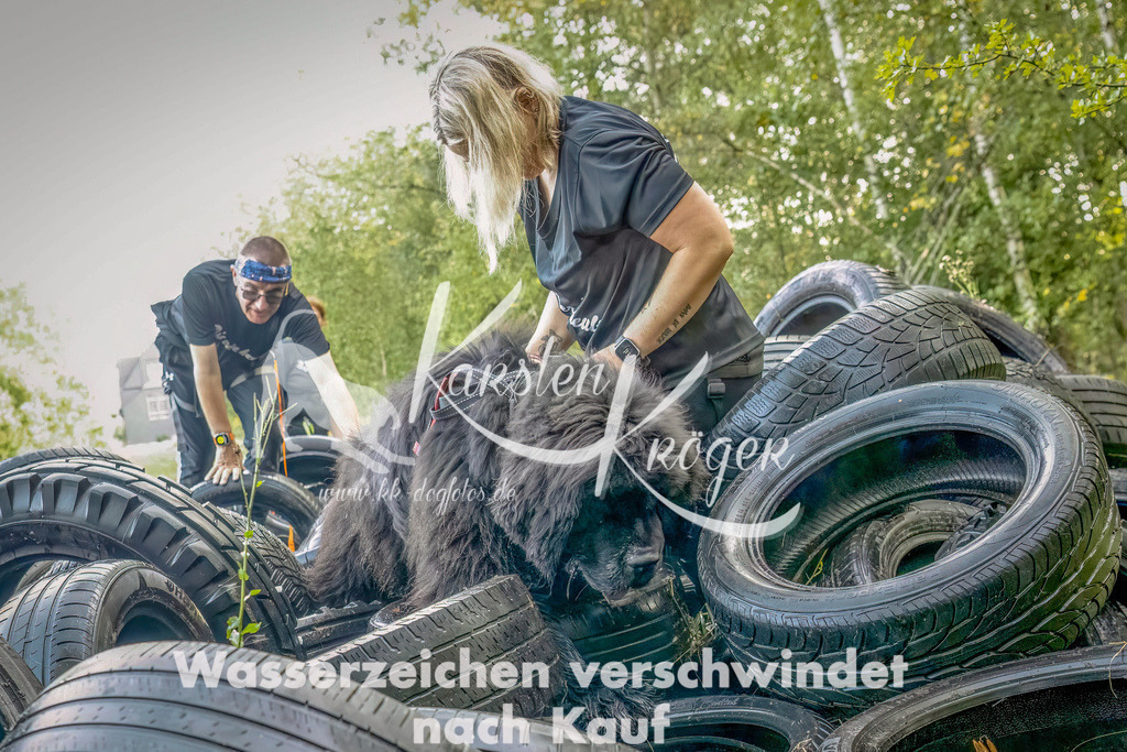 1045_ZZ90424-Bearbeitet-Bearbeitet | kk-dogfotos