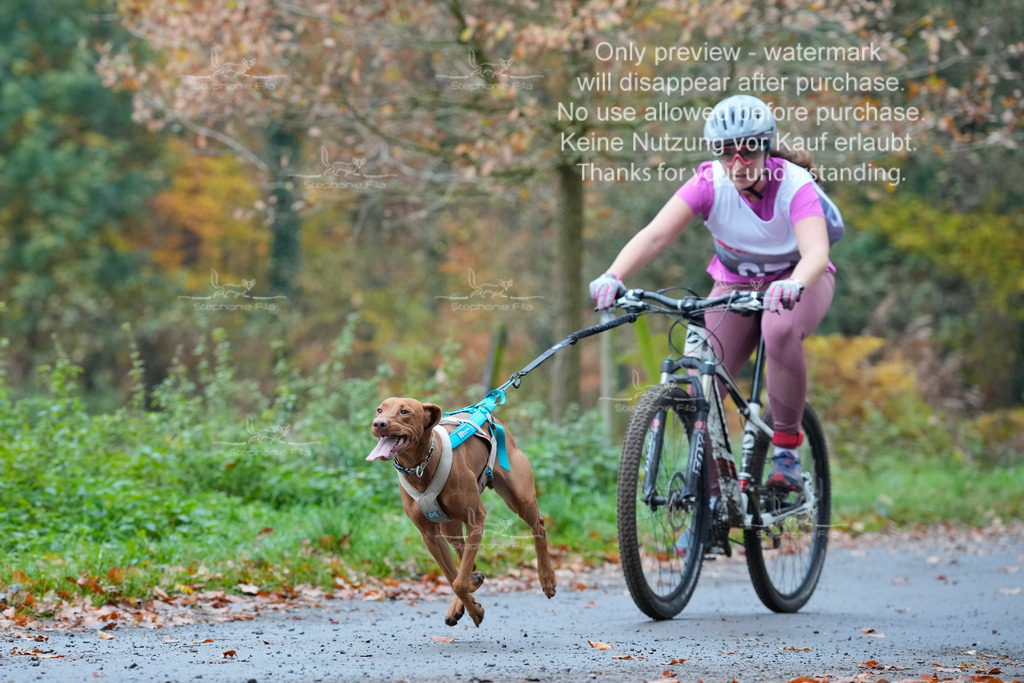 Bike_So-95 | stephaniefillaphotographie - Realisiert mit Pictrs.com