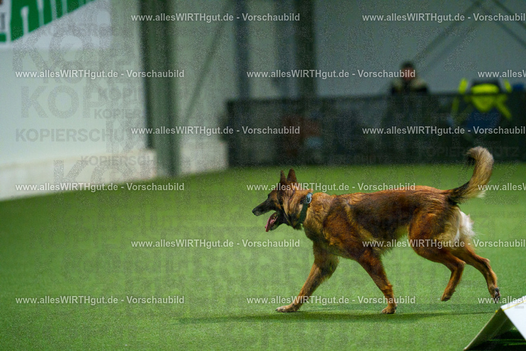 7R500961 | Professionelle Tierfotografie in Mönchengladbach von Daniel Wirth (allesWIRTHgut). Liebevolle & natürliche Bilder von Hunden & Katzen für unvergessliche Erinnerungen.