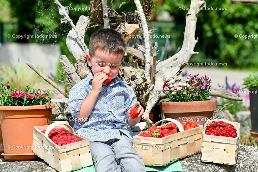 Erdbeeren_ Himbeeren_ Ribisel_ Mayer_ 20.06.2023-28 | 20.06.2023, Raffelding, AUT, Erdbeeren, Himbeeren, Ribisel, Mayer, im Bild Valerian laesst sich die Erdbeeren schmecken, Himbeeren und Ribisel