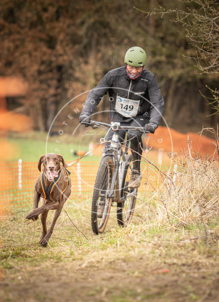 DV3A1182 | Hundefotografie, Tierfotograf, Pfotenfotografie, Fotoshooting Hund, Hunde Portrait, Hundesport, Hundeportraits, Heideshooting, Hunde, Sportfotograf, Hundefotograf, Turnierhundsport, THS,  - Realisiert mit Pictrs.com
