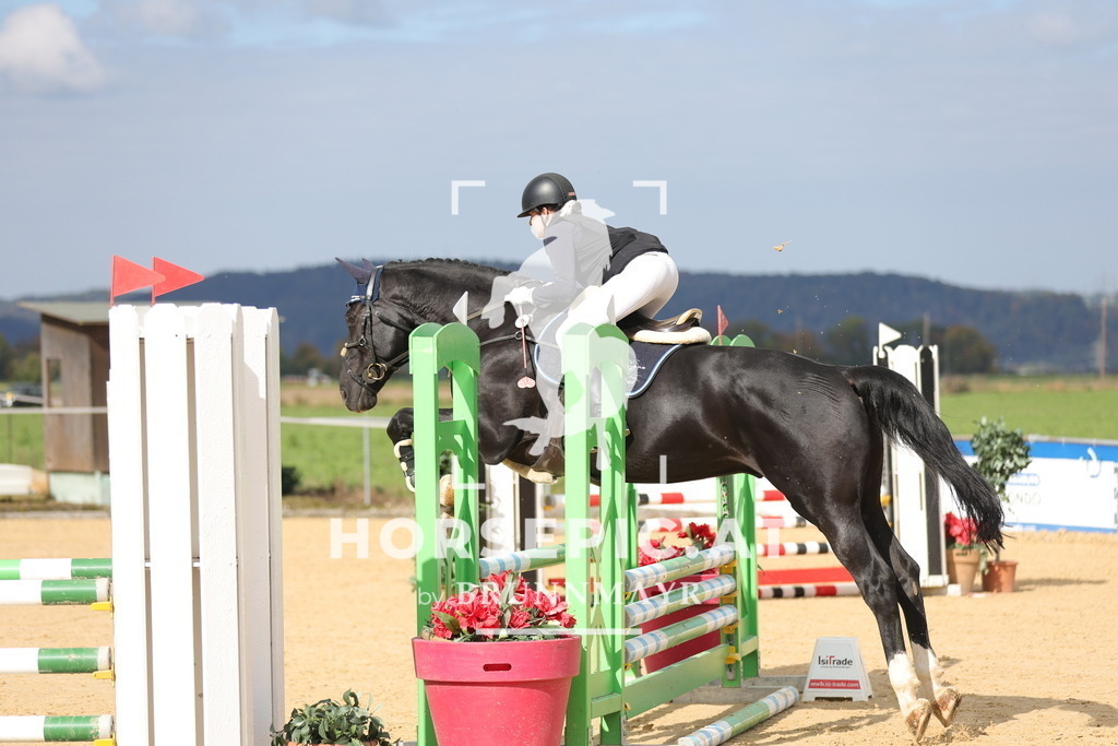 0P6A8563 | Willkommen bei Brunnmayr - Design & Fotografie – Ihrem Spezialisten für Reitturniere und Pferdeveranstaltungen in Oberösterreich, Salzburg und Bayern! Seit über 17 Jahren sind wir leidenschaftlich dabei.