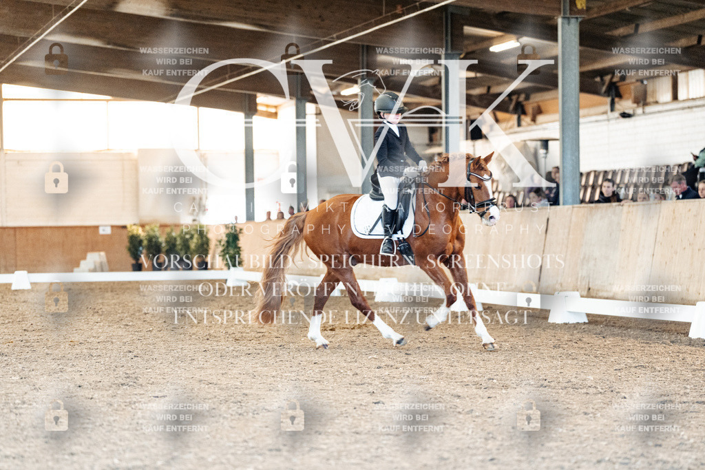 CK908209 | Turnierfotografie Pferdefotografie Trier Rheinland-Pfalz Pferdesport Reitsport Tierfotografie Sportfotografie Pferdevideo Pferdevideografie Equestrianvideography equestrianphotography  - Realized with Pictrs.com