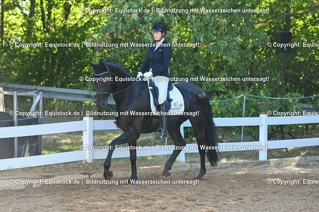 20230715_06_Dressurpferdeprfg. Kl.A_0011 | equistock