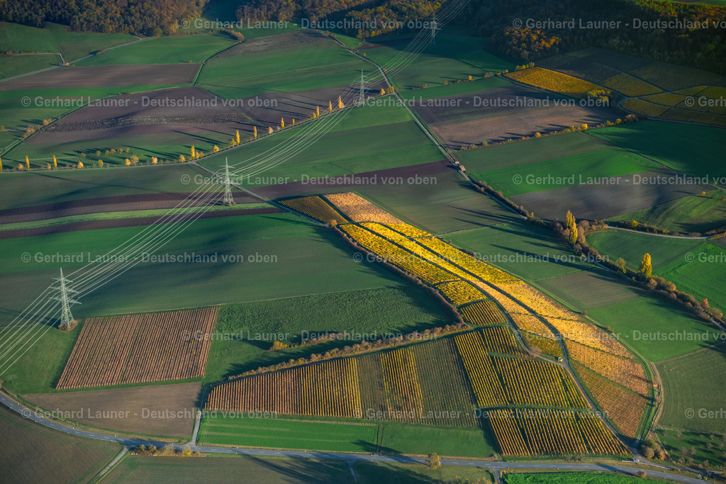 4042830 | Weinberge bei Castell, Weinlage Kirchberg, Hohnart