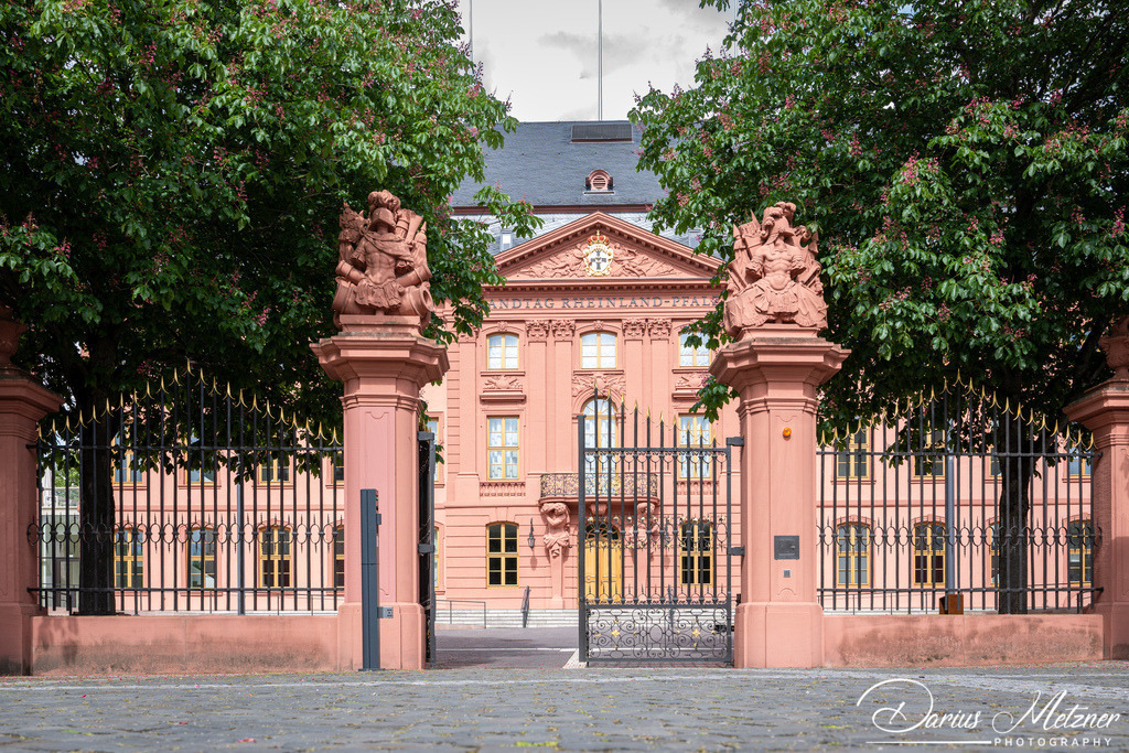 DSC_6162 | Fotografien, Fotos und Bilder aus Mainz, Frankfurt, Wiesbaden und anderen Orten auf der Welt - Fotografiert von Darius Metzner