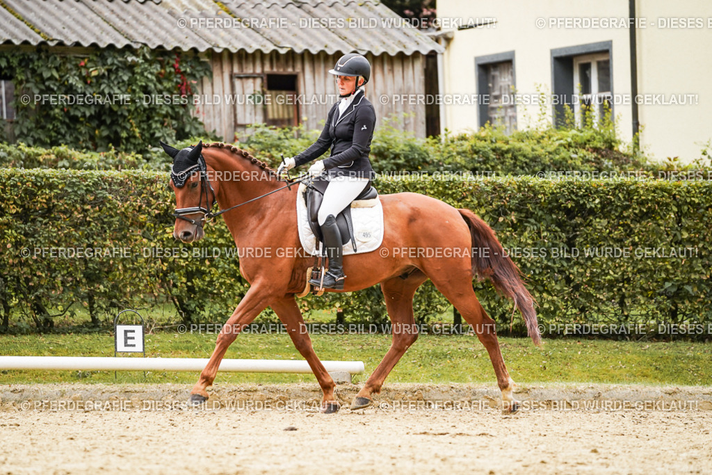 DSC08388 | Pferdegrafie