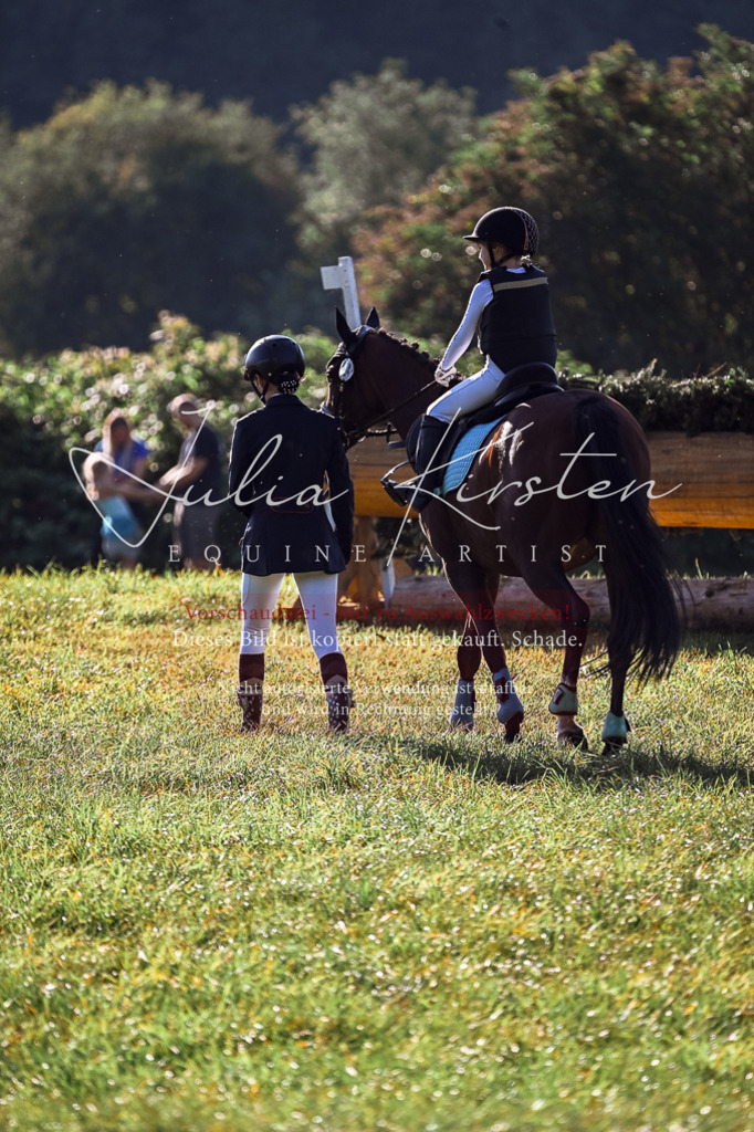 DSC_0276 | Pferde- und Turnierfotografie in Westsachsen. Pferdeportraits, Auftragszeichnungen und intuitive Kunst.