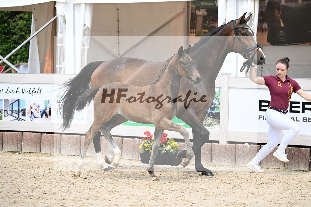 St. Emilion x Zoom_SF_Braig u Meyer_12250614 | hf-fotografie - Realisiert mit Pictrs.com