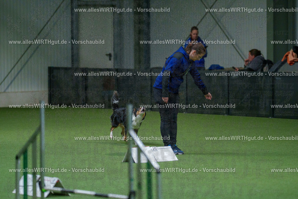 7R503172 | Professionelle Tierfotografie in Mönchengladbach von Daniel Wirth (allesWIRTHgut). Liebevolle & natürliche Bilder von Hunden & Katzen für unvergessliche Erinnerungen.