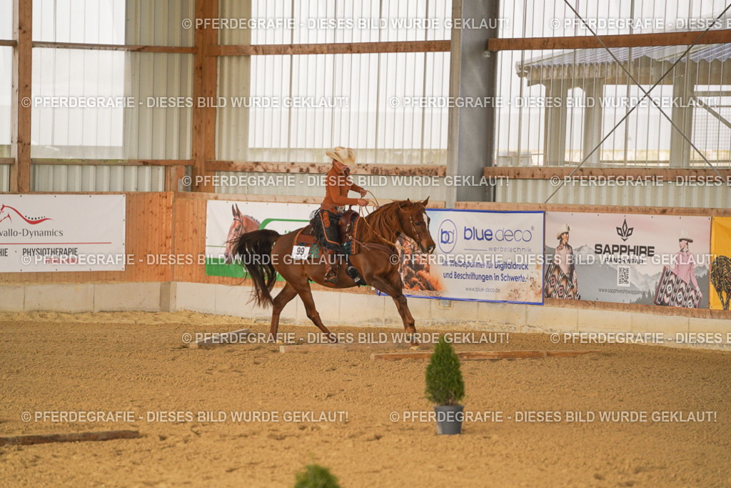 DSC01105 | Pferdegrafie