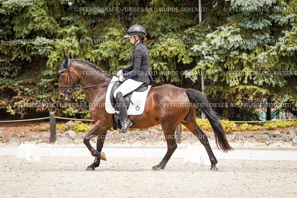 DSC04139 | Pferdegrafie